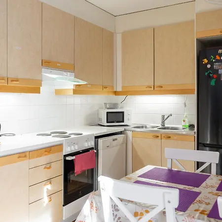 Home, Entire Rovaniemi