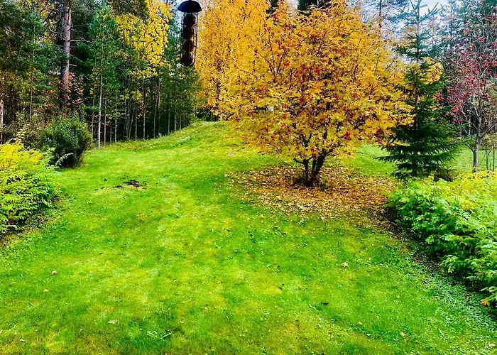 Home, Entire Lejlighed